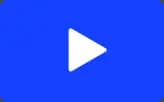 playVideo